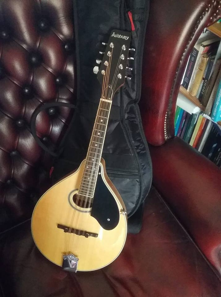 Ashbury acoustic mandolin, great condition in Crook, County Durham