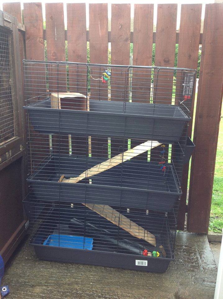 Triple indoor cage , rabbit , guinea pig , tall 3 tier £80 in