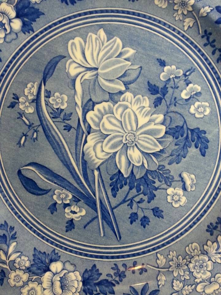 THE SPODE BLUE ROOM COLLECTION BOTANICAL FIRST INTRODUCED C