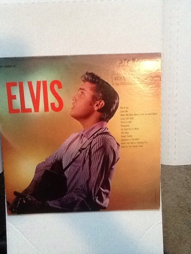 ELVIS PRESLEY/ブルース・リー/LPレコード6セット エルビスプレスリー 6点セット｜Yahoo!フリマ（旧PayPayフリマ）