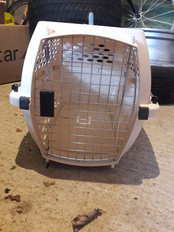 IATA Cat Carrier in Inverness, Highland Gumtree