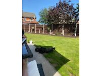 House swap 2bed FFF Sandford (need 3 bed)