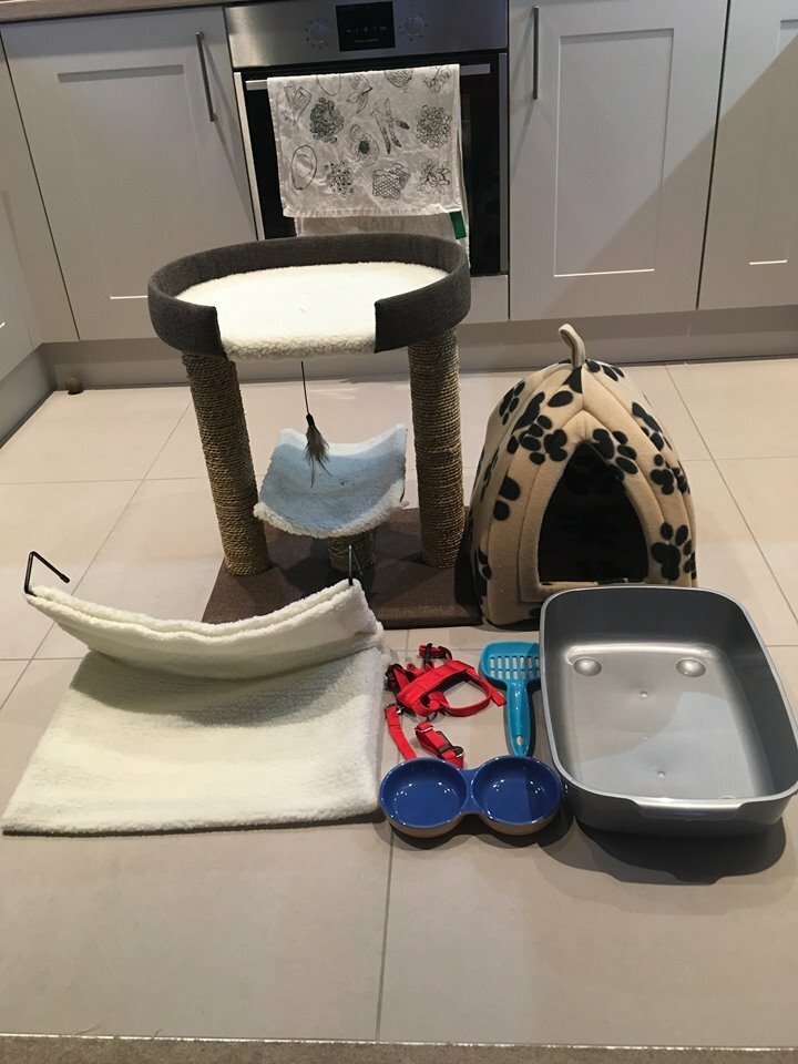 CAT ITEMS in Poole, Dorset Gumtree