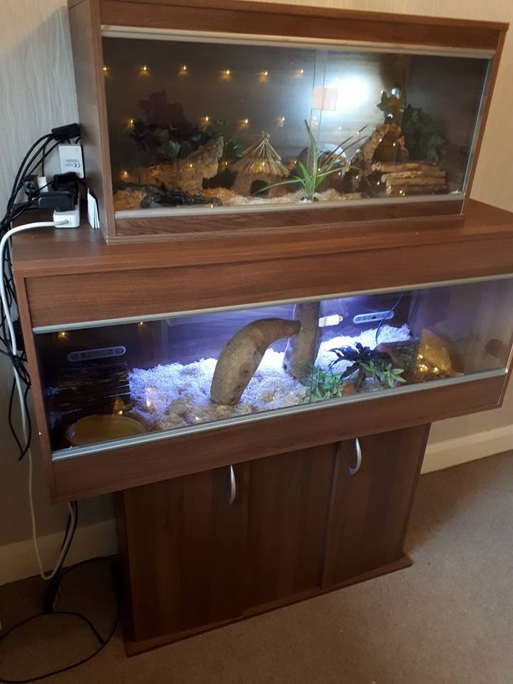 Vivariums for sale in Bromley, London Gumtree