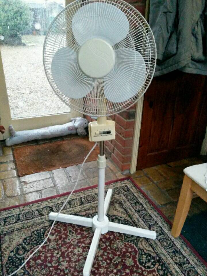 Lloytron Pedestal Fan in Bungay, Norfolk Gumtree