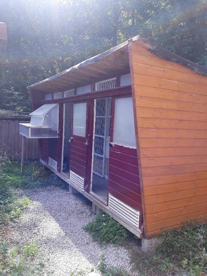 Pigeon Loft 18x8 Ft Quick Sale In West Derby Merseyside Gumtree