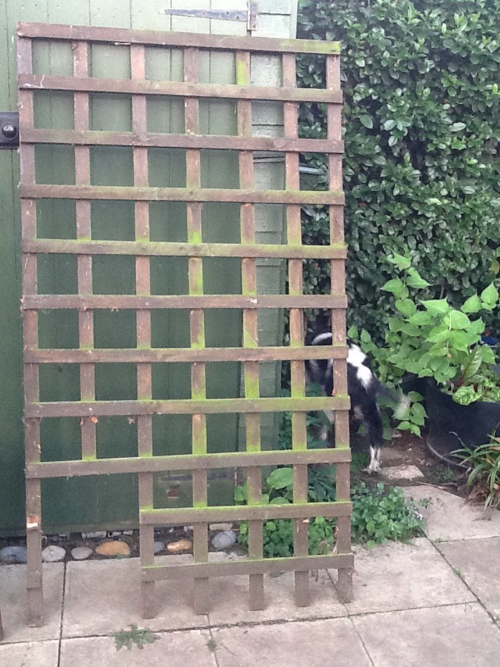 LARGE STURDY WOODEN TRELLIS in Bramford, Suffolk Gumtree