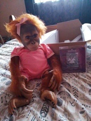 Artikelfoto(s) von einem verifizierten Käufer