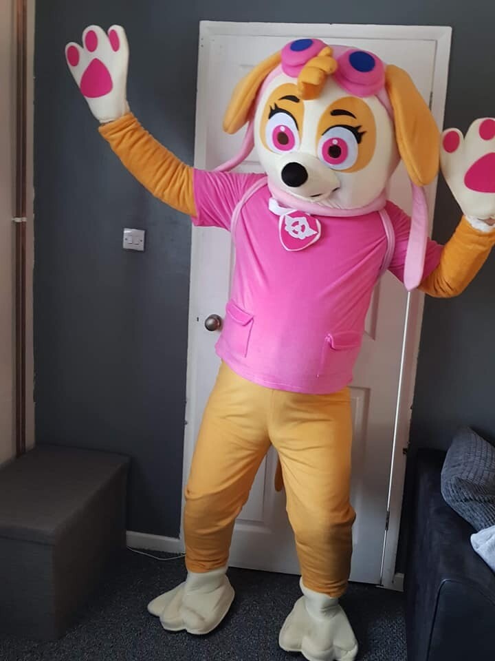 mascots for sale in BidfordonAvon, Warwickshire Gumtree