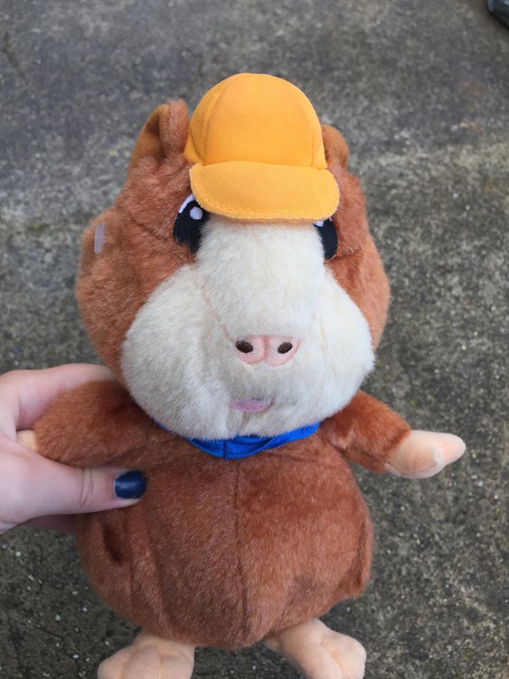 Fisher Price Wonder Pets Plush Linny Guinea Pig Toy Mattel 9” Stuffed Lenny