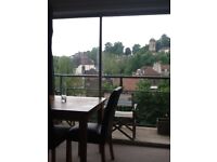 STUNNING LARGE FURNISHED STUDIO FLAT/BALCONY/PRIVATE PARKING 