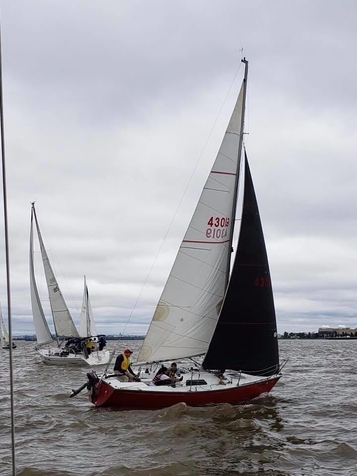 North 3Di RAW Racing Sail