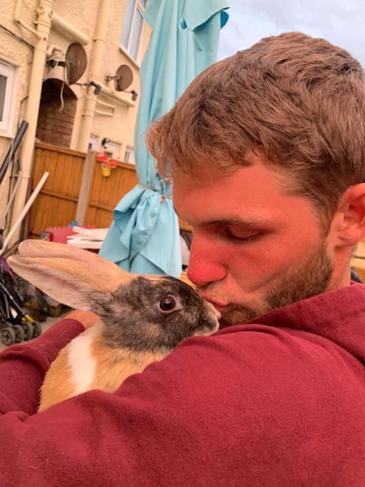 2 beautiful 1 year old rabbits for rehome in Newhaven, East Sussex