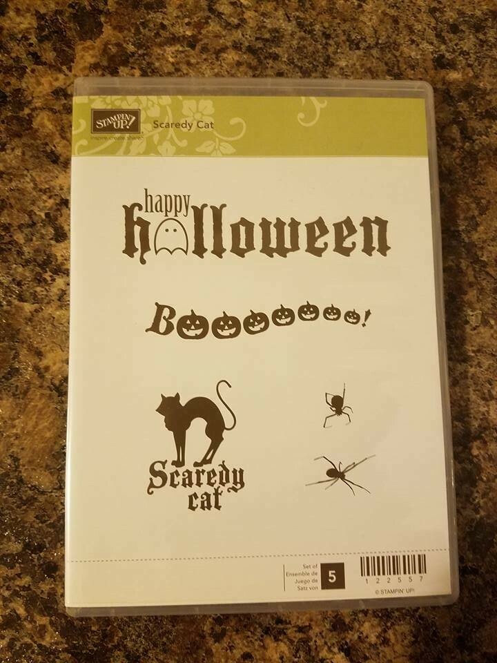 RARE Retired Stampin Up SCAREDY CAT Happy Halloween Spiders Boo - NIP