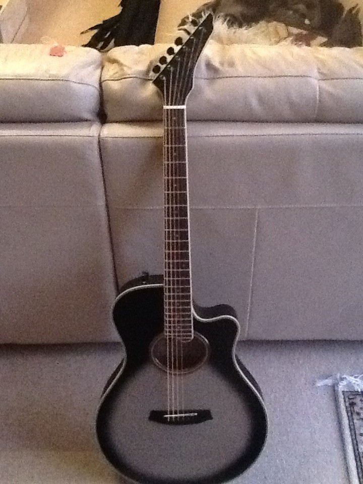 Palmer Electro Acoustic Guitar. Reluctantly downsizing my Guitar