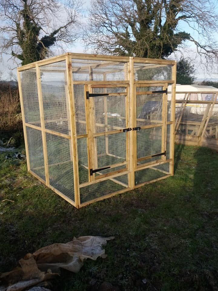 6ft double aviary in Hartcliffe, Bristol Gumtree