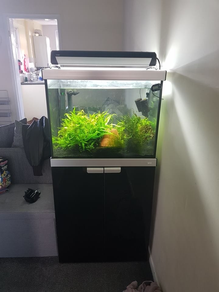 Fluval Studio 600 Tropical Fish tank Aquarium in Huthwaite