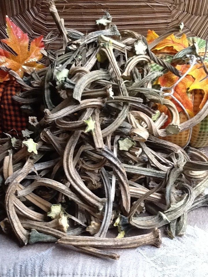 Pumpkin Stems 100 Excellent Quality Naturally Dried Stems  