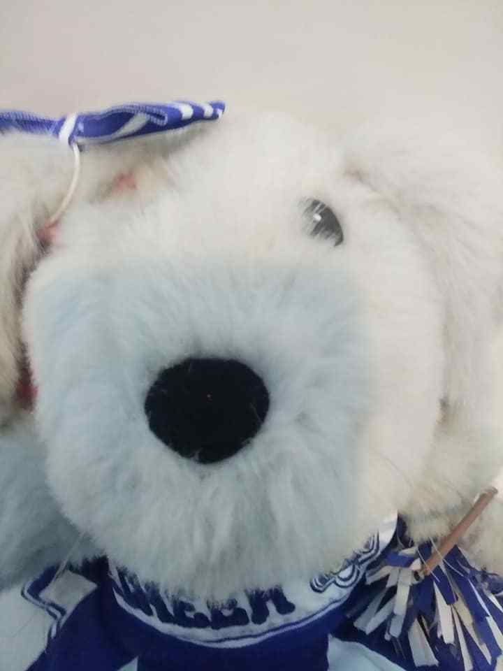 M.T. Bear & Co. Bunny Rabbit Plush Plays Twinkle Little Star In BABW 1999