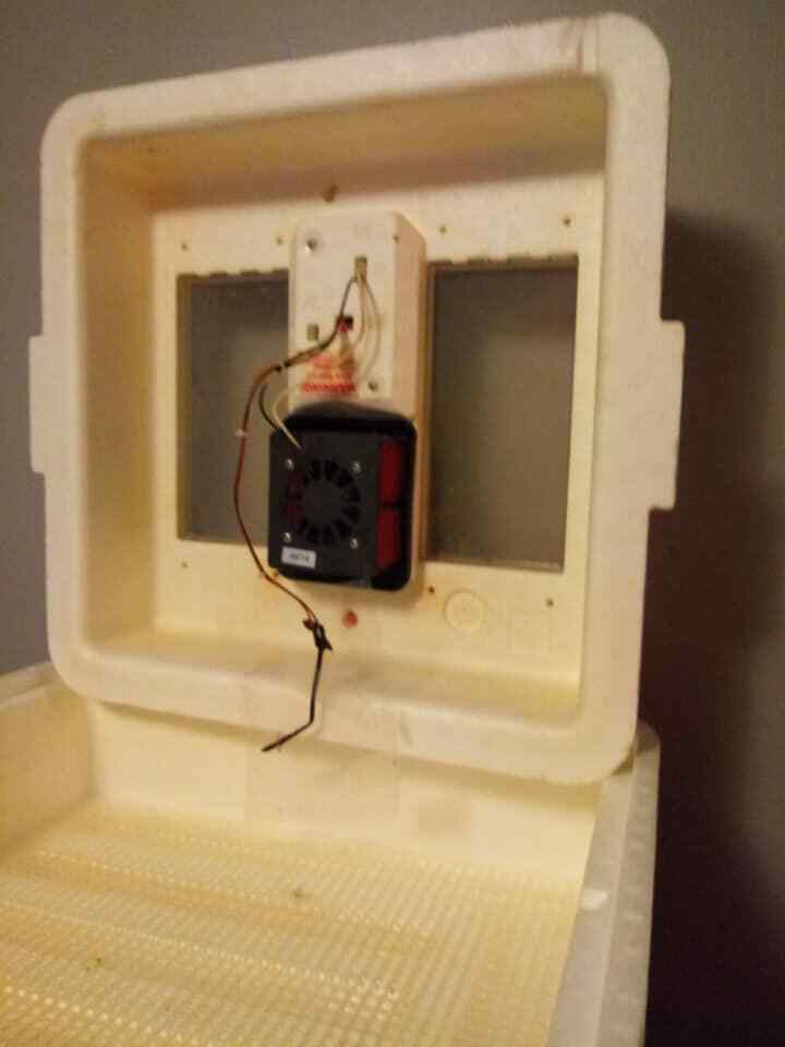 Little Giant 9300 Still air Incubator for hatching eggs