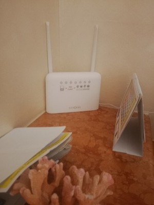 Foto dell'oggetto di un acquirente verificato