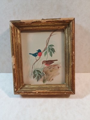 JOHN GOULD Original Vintage Lithograph Grosbeaks Two Birds Mini Framed Very Rare