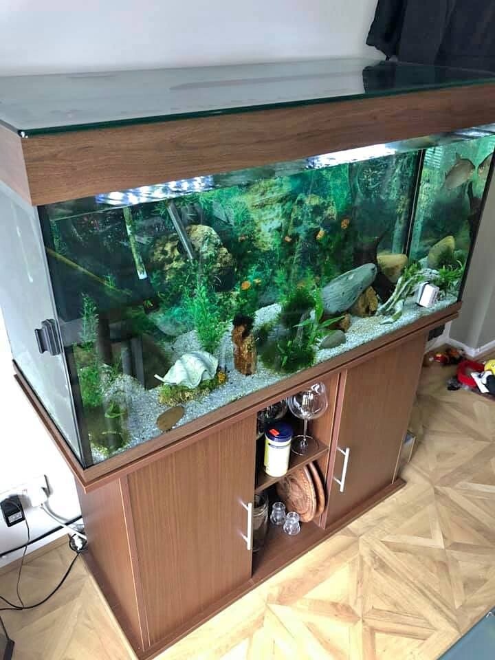 350 litre fish tank for sale in Runcorn, Cheshire Gumtree
