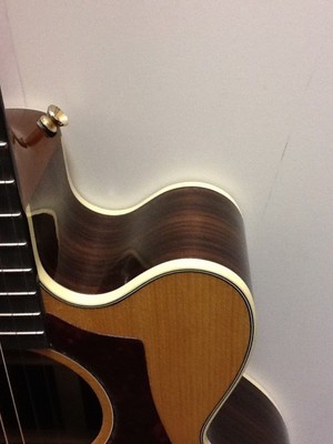 Gibson AG Parlor RW Cutaway Acoustic-Electric Guitar (with Case)