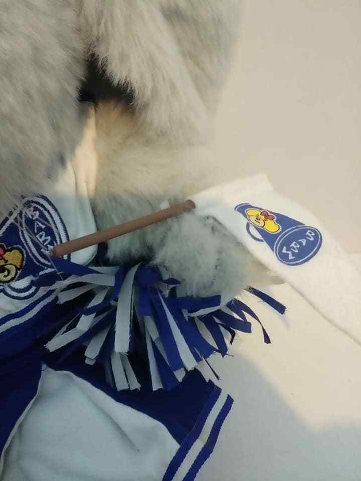 M.T. Bear & Co. Bunny Rabbit Plush Plays Twinkle Little Star In BABW 1999