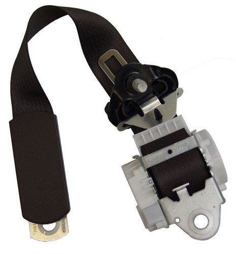 Ｔ*Ｓ様 カーチス　ゴスホーク　Ｆ|| Have In Stock 💥