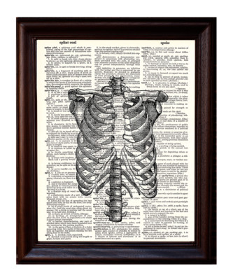 Human Rib Cage - Dictionary Art Print Printed On Authentic Vintage Dictionary