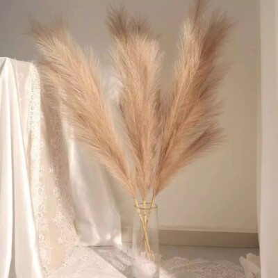 Faux Pampas Grass with 3 Large Artificial Pampas Stems -45'' BEIGE