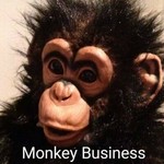 lismonkey