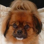 bennybabybear2013
