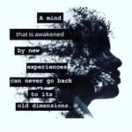 randomstuffihave