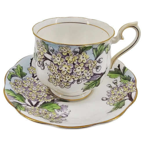 Vintage Royal Horticultural Society Applebee Collection Teacup and