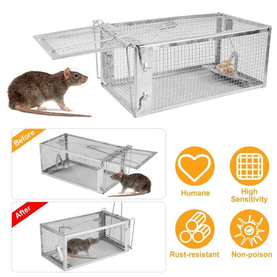 Humane Rat Trap Cage Small Live Animal Pest Rodent Mouse Control Catch Bait Trap