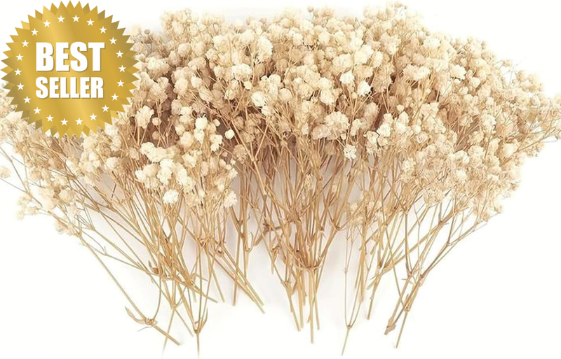 100 Pcs Dried Baby'S Breath Flowers Bulk - Ivory White Natural Gypsophila, Real