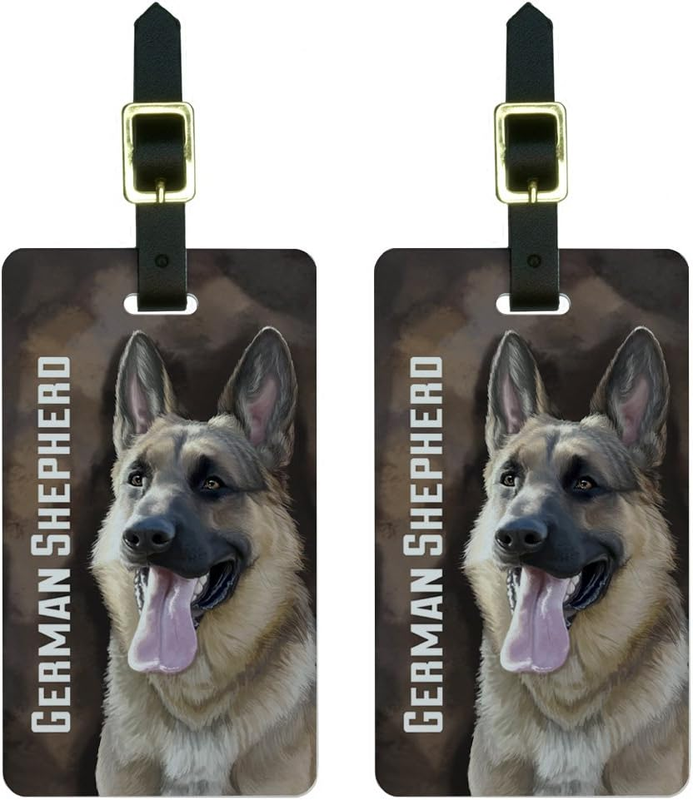Tags Suitcase Carry-on Id Set Of 2