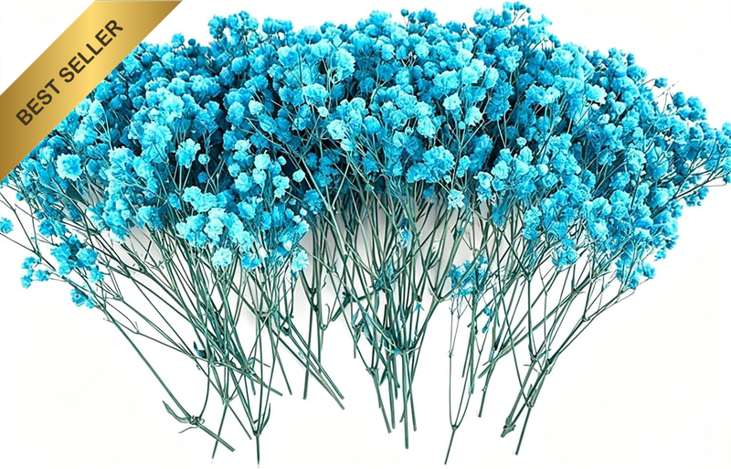 100 Pcs Dried Flowers Bundles Dried Baby'S Breath Flowers Bulk Ivory White Natur
