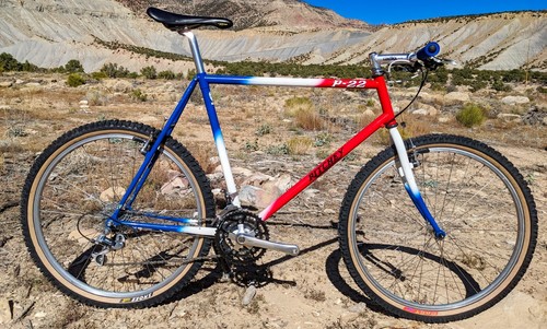 Ritchey P22 XL 22 Ritchey P22 XL 22