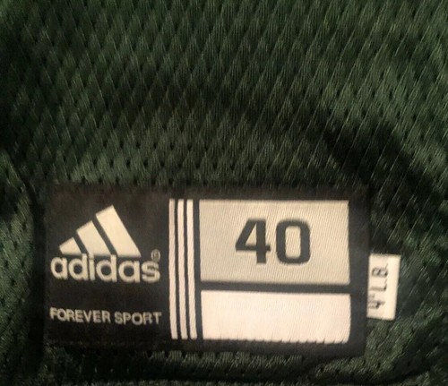 Notre Dame Football 2008 Team Issued Green Jersey #44 Asaph Schwapp