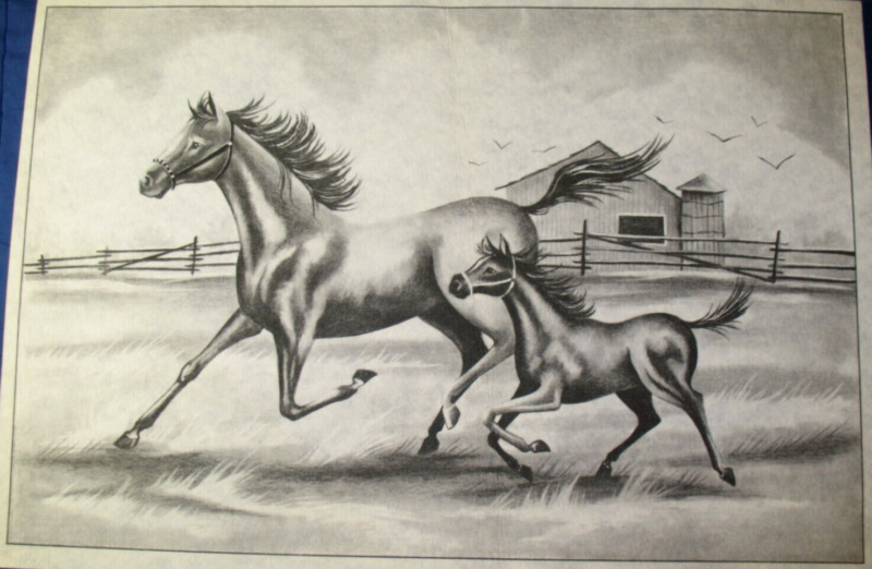 * TRI CHEM 8232 RUNNING HORSES AT THE FARM COLT Picture to paint TRICHEM