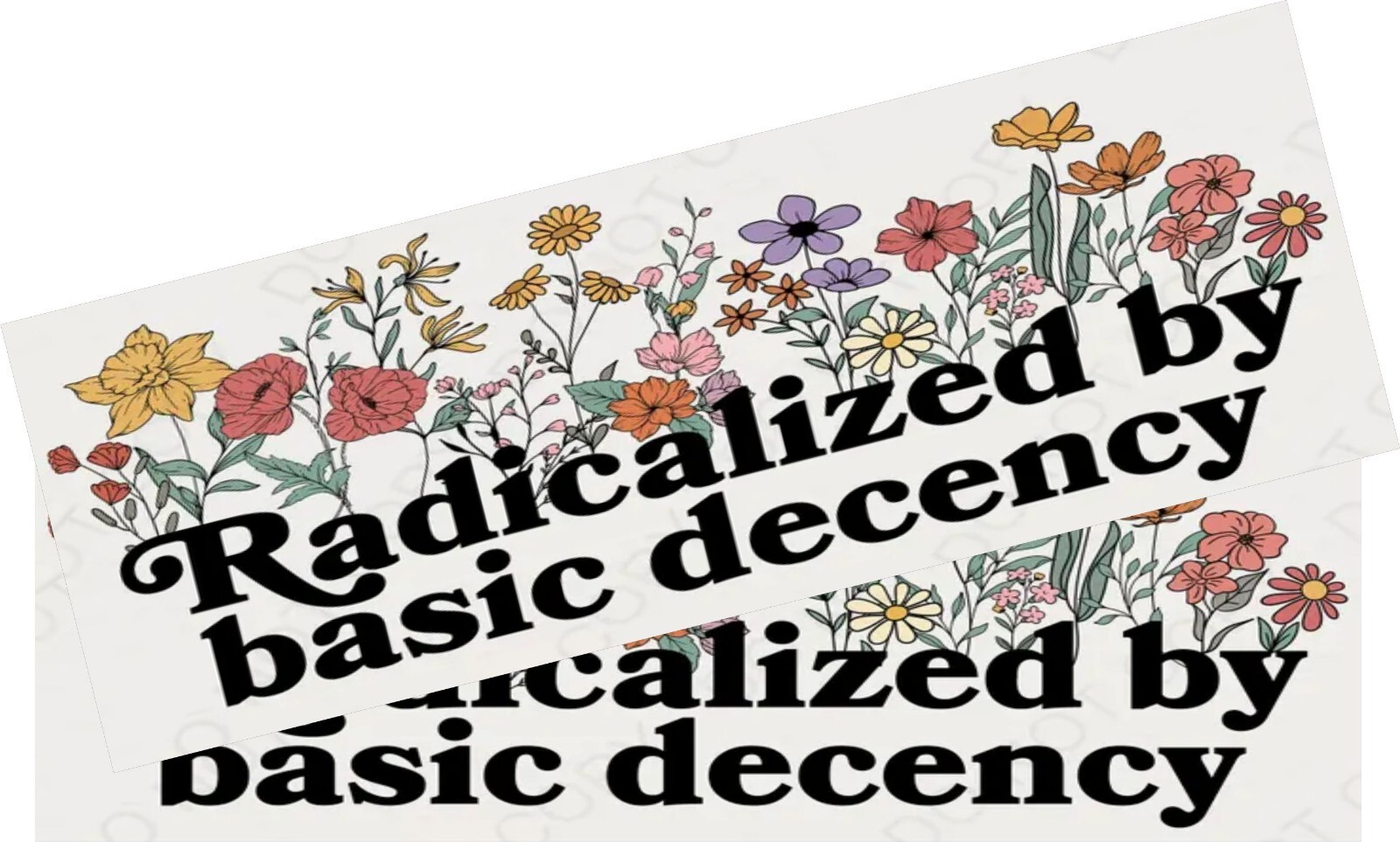 Anti Trump Bumper Stickers or Magnets Radicalized By Basic Decency Set of 2