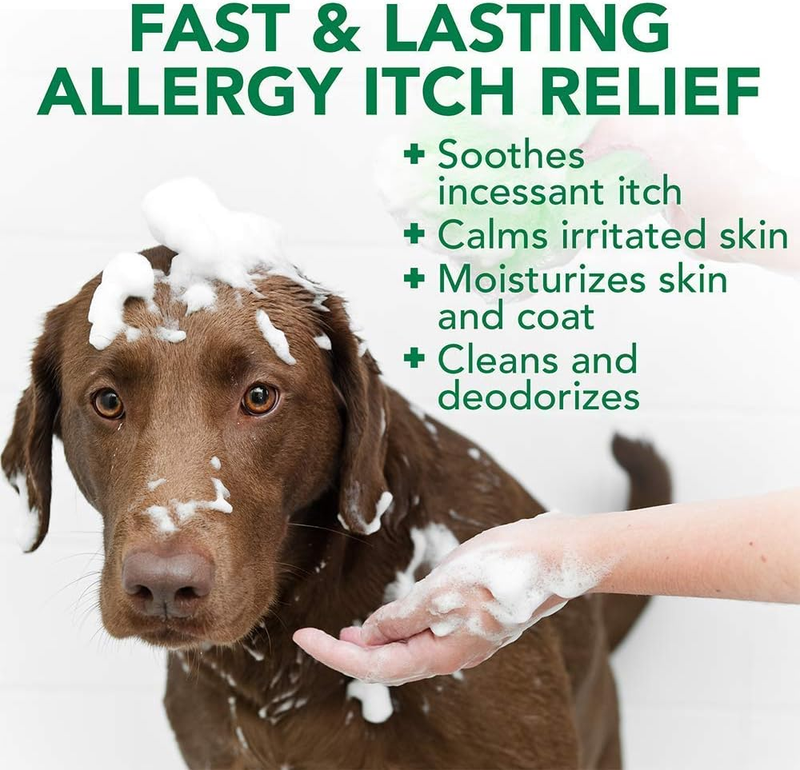 Allergy Itch Relief Dog Shampoo, Gentle Formula, 16 Oz