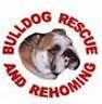 Bulldog Rescue and Rehoming