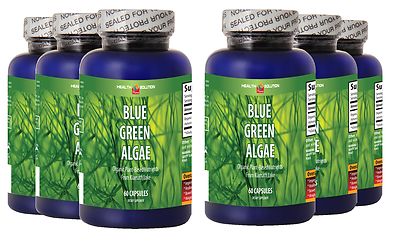 Blue Green Algae Powder from Klamath Lake Antioxidant (6 Bottles)