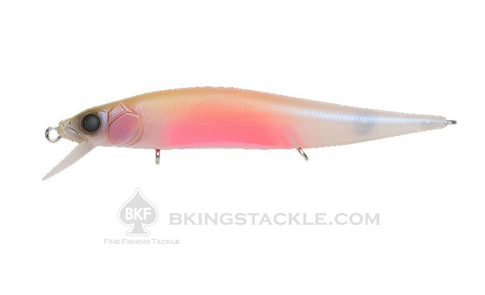 Megabass Rare VISION 110 ONETEN Jr Baby Kingyo SP-C | eBay