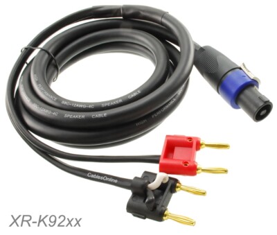 naonao 　no4 naonao no4 2024 Kawasaki Ninja® ZX™-4RR 40th Anniversary Edition ABS