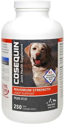 Cosequin Maximum Strength Plus MSM for Dogs ...